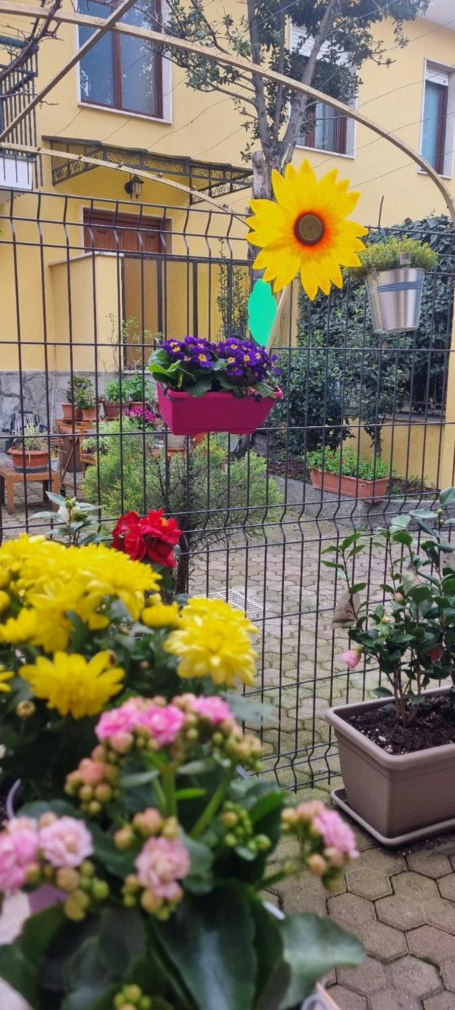 Carta Da Zucchero Venaria Reale Zewnętrze zdjęcie